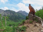 79 Bella l'aquila scolpita su tronco d'abete (2022) con vista sul Corno Branchino